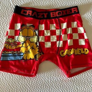 Garfield Nickelodeon Crazy Boxer Briefs Lasagna Cartoon Mens Size Large